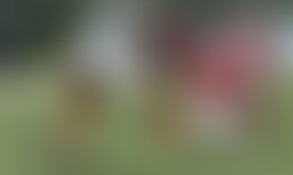 13 ist keine Unglückszahl...