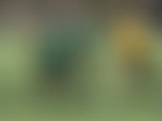 Zwei Heimsiege am Sonntag