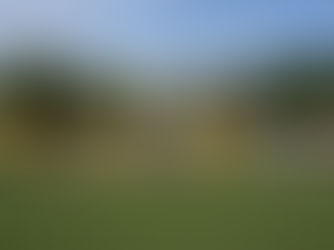 Für den guten Zweck