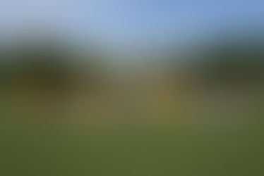 Für den guten Zweck