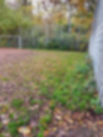 20191107_Zustand Bolzplatz Virchow (2)