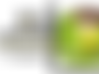 TuS Jugendtag 12. August