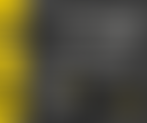 Verstärkung 2008 und 2009 gesucht