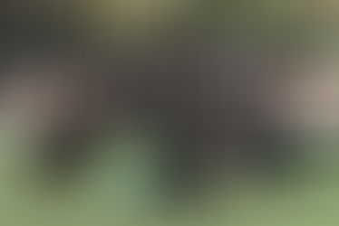 Zweites Spiel - zweiter Sieg