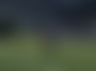 Negativserie beendet!