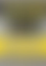 2006er für neue U14 gesucht