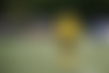 Kurioses Elfer-Spiel