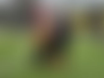 Jugendspieltag an der Pelmanstraße