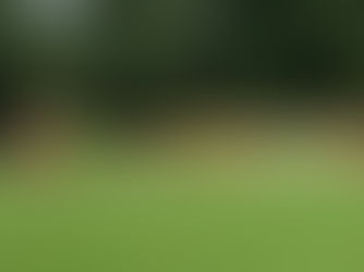 AH2 vs. WSV Bochum: 1:13