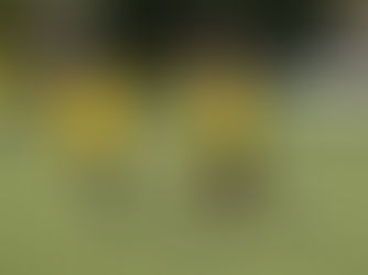 TuS 1 und 2 mit hohen Heimsiegen, TuS 3 punktet kampflos