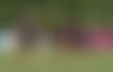 Dritte mit Untentschieden