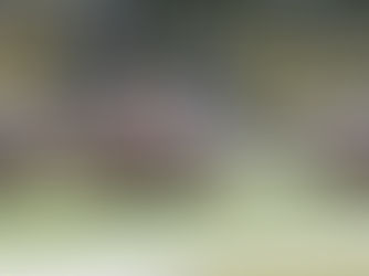 SPIELTACH 19. November 2022