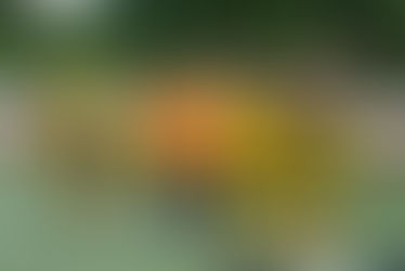 Zweistelliger Auswärtssieg