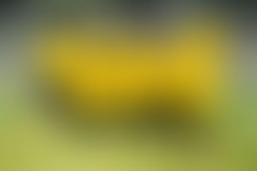 E2 mit neuen Trainingsanzügen