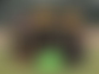 Spannend und erfolgreich