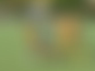 Da muss man durch ...