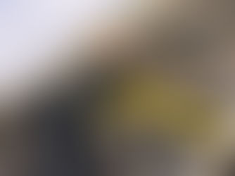 Neue Tribünenüberdachung