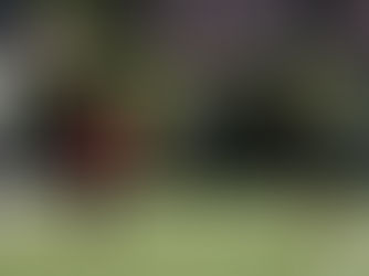 Dritte macht Dutzend voll