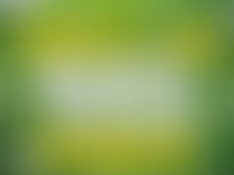 Allstars 2019 Benefizturnier