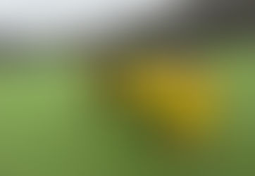 E1 startet gut ins neue Jahr