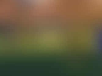 AH2 vs SF Bulmke 2:6