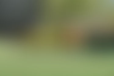 E2 mit tollem Spiel in Borbeck