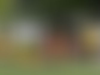 SPIELTACH 05./06. November 2022