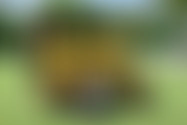 F2: Zwei tolle Turniere