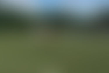 AH2 vs Vogelheimer SV 1:3