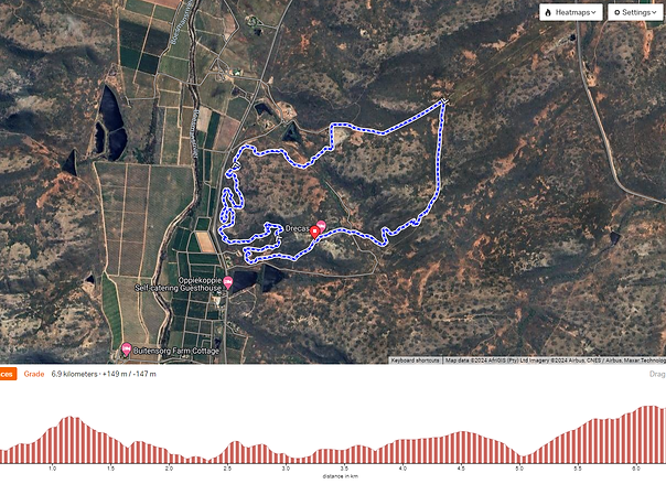 Blue Route Bonnievale.png