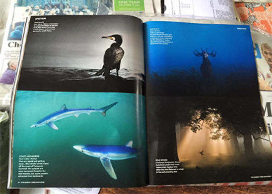 Sunday Times article