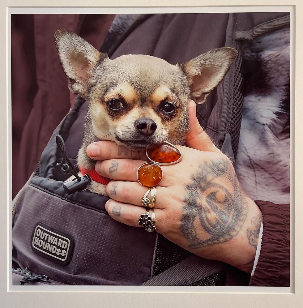 The Beautiful Art of Printing