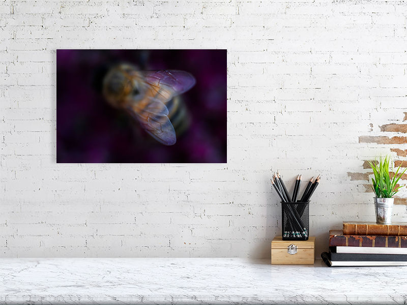 Thumbnail: Bee wings in purple flower