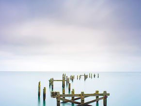 Tony Wilson Image of the Season Award