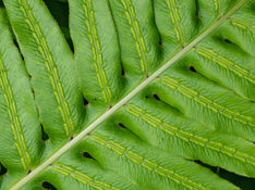 8979_Two by Two_Carla Morris.jpg