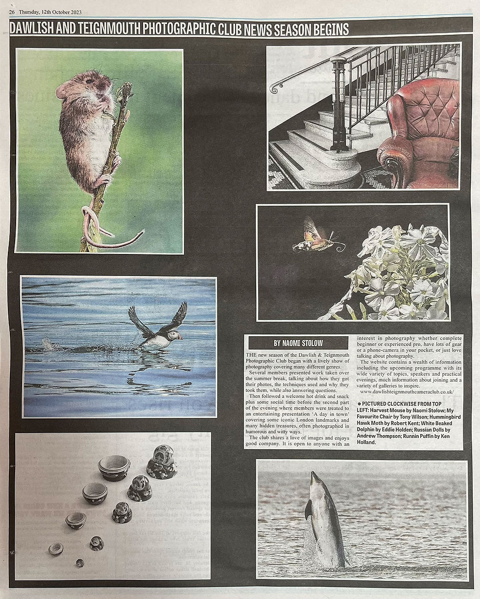 PICTURED CLOCKWISE FROM TOP LEFT: Harvest Mouse by Naomi Stolow; My Favourite Chair by Tony Wilson; Hummingbird Hawk Moth by Robert Kent; White Beaked Dolphin by Eddie Holden; Russian Dolls by Andrew Thompson; Runnin' Puffin by Ken Holland.