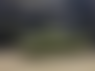 Weapons Gamification: From Console to Battlefield