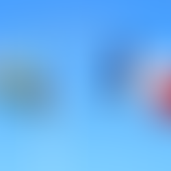 Trouble in Paradise: The Toxic Relationship Between France and New Caledonia