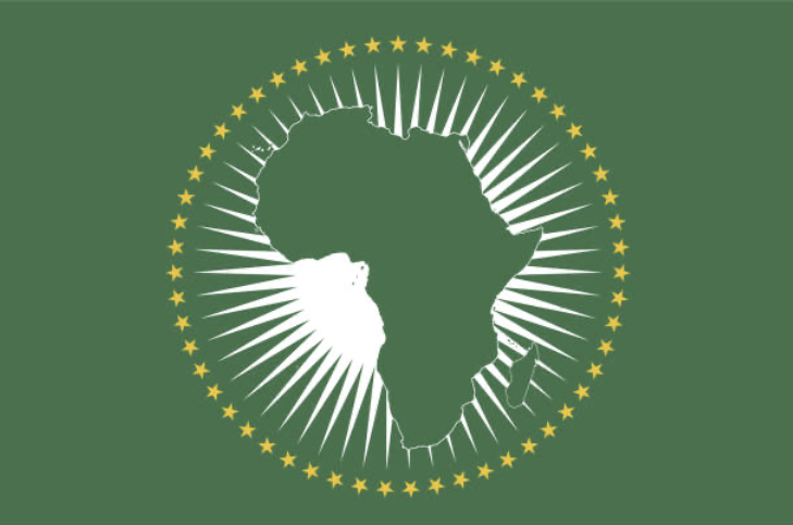 Guardians of the Continent: The African Standby Force and the Future of Peace in Africa