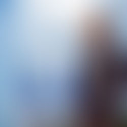 His Excellency, Nayib Bukele: the Salvadoran Strongman Destined for Regional Dominance