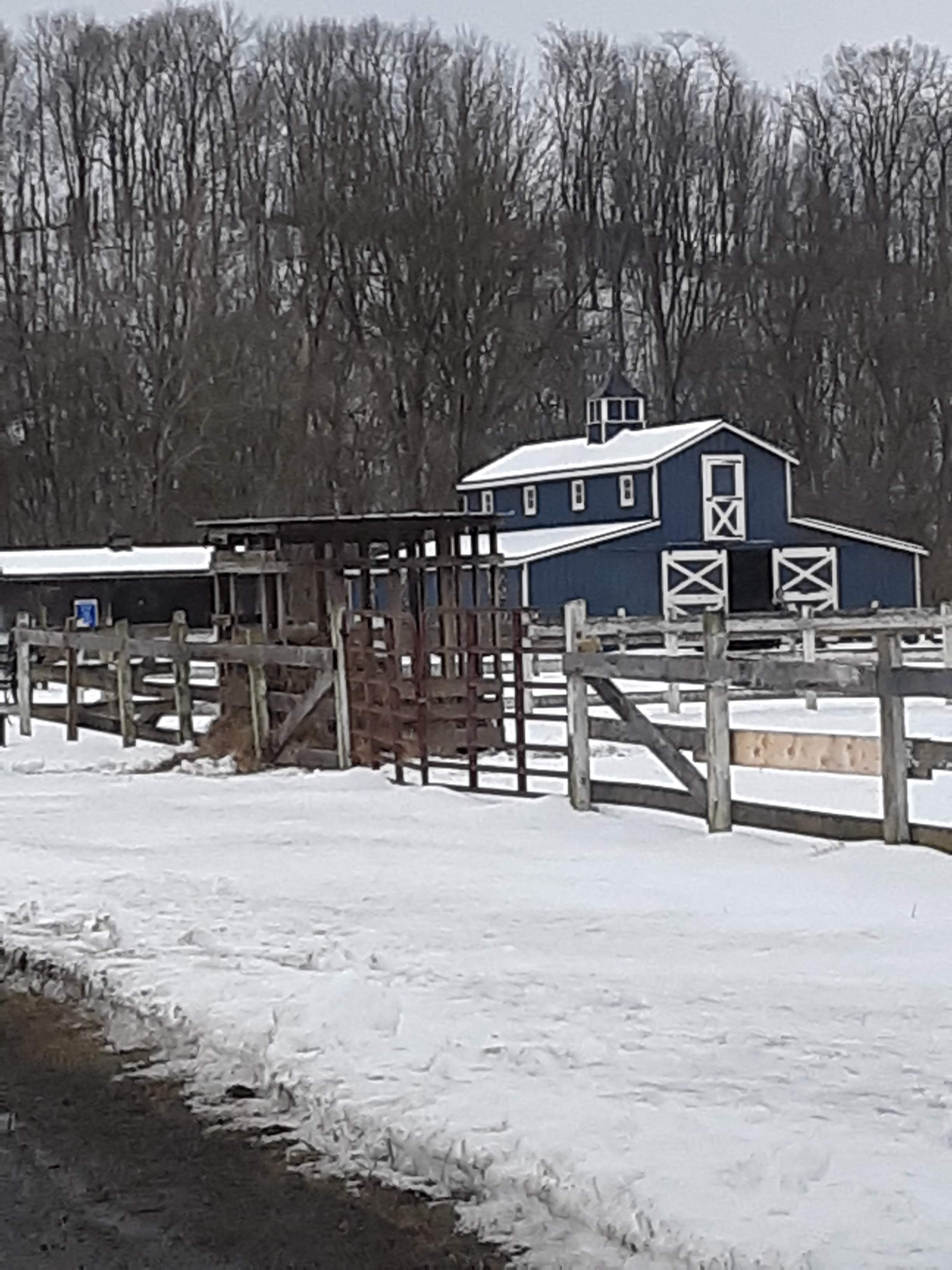 20190215_093519