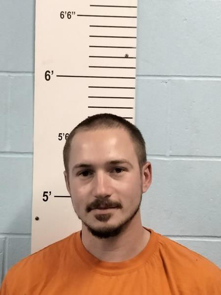 Troy Man Charged With Felony Domestic Assault Following Early Morning Disturbance