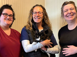 New Low-Cost Veterinary Hospital Opens in Troy, Bringing Affordable Care to Local Pets