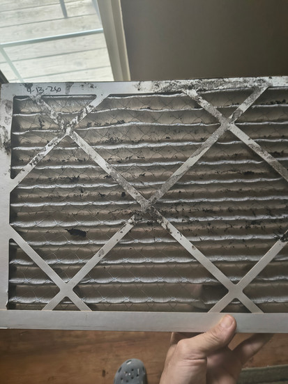 Filter installed April 13, 2026, with buildup shown through present day.