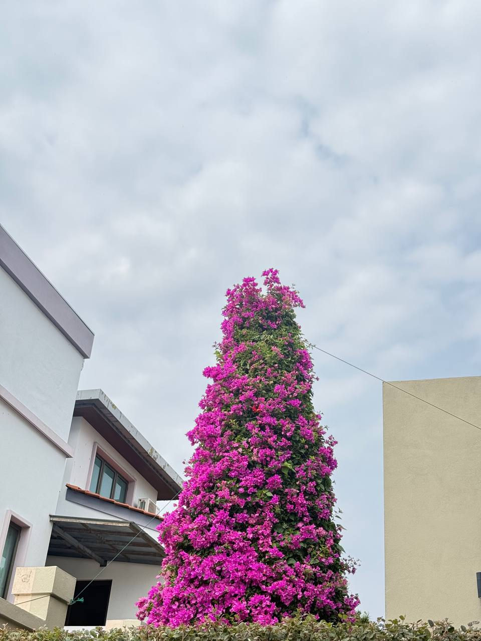 Villa The Sanctuary, Batu Uban