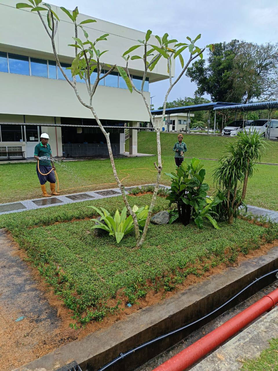 photo_6287519340810669981_y