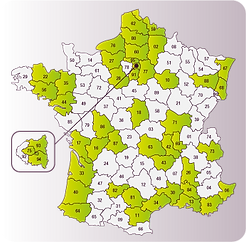 spécialiste regroupement de crédits