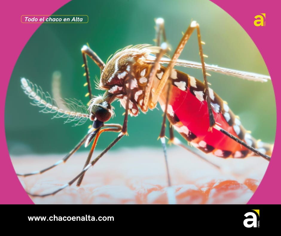 Chaco sin dengue continua las campañas de prevención y controles sanitarios en toda la provincia