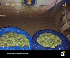 50 kilos de hojas de coca fueron secuestradas en zona rural de El Sauzalito