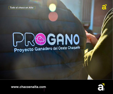 Arabia Saudita vuelve a elegir carne caprina producida en el Chaco